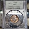 1925-D Buffalo Nickel. Better Date. PCGS MS62, 2.1 OGH Holder.