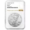 2024 (P) $1 American Silver Eagle Star Privy NGC MS70 Brown Label