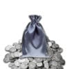 Southern Silver Bag - 1/2 Lb of Unsearched 90% Silver US Coins