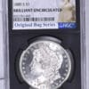 1880-S Morgan Silver Dollar NGC Brilliant Uncirculated Original Bag Fragment