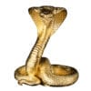 2025 3 oz Silver Snake 3D King Cobra 24K Gold Plating
