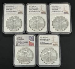 Silver Eagle Error Grab Bag - NGC MS69